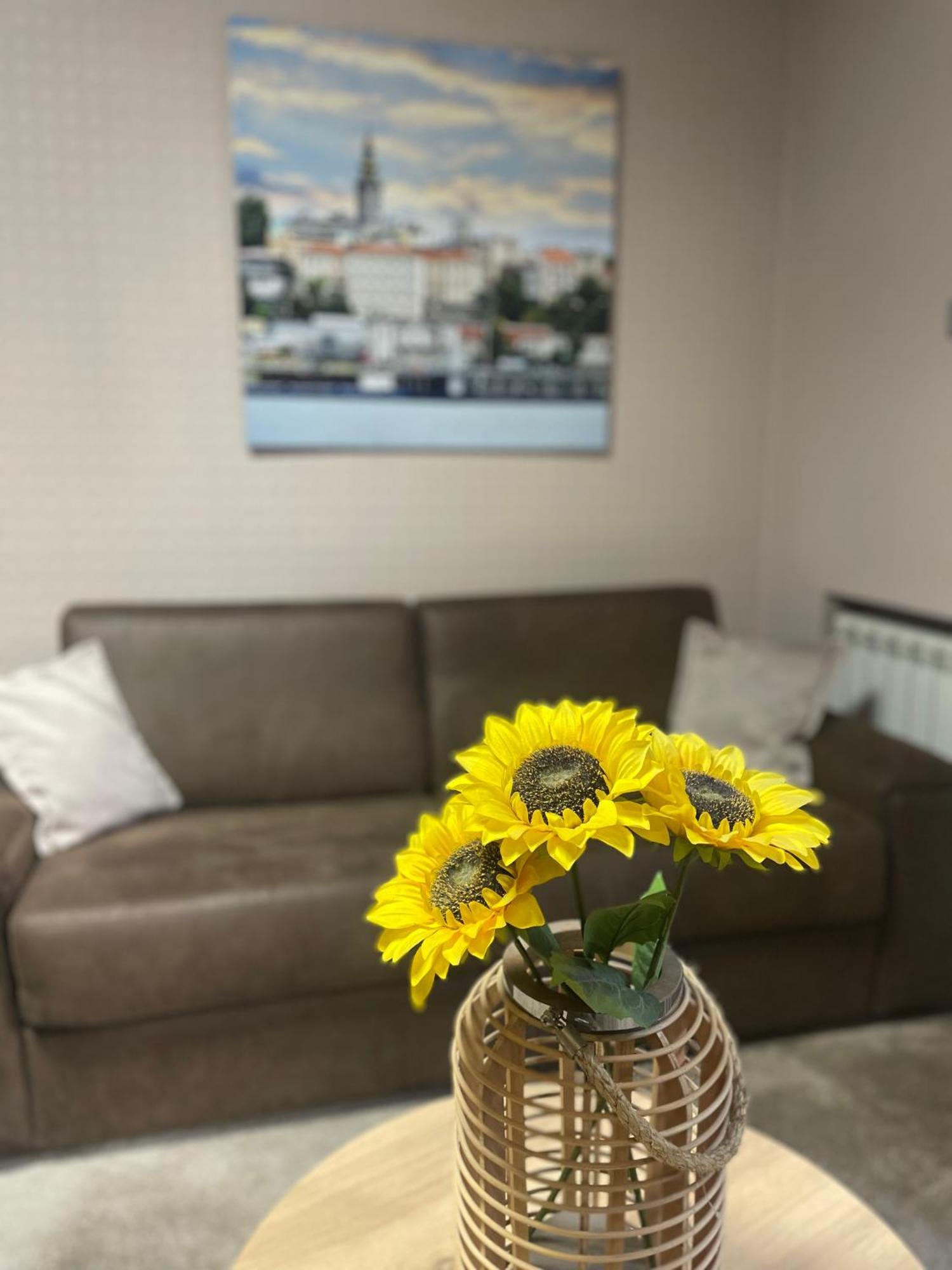 City Code In Joy Belgrado Esterno foto